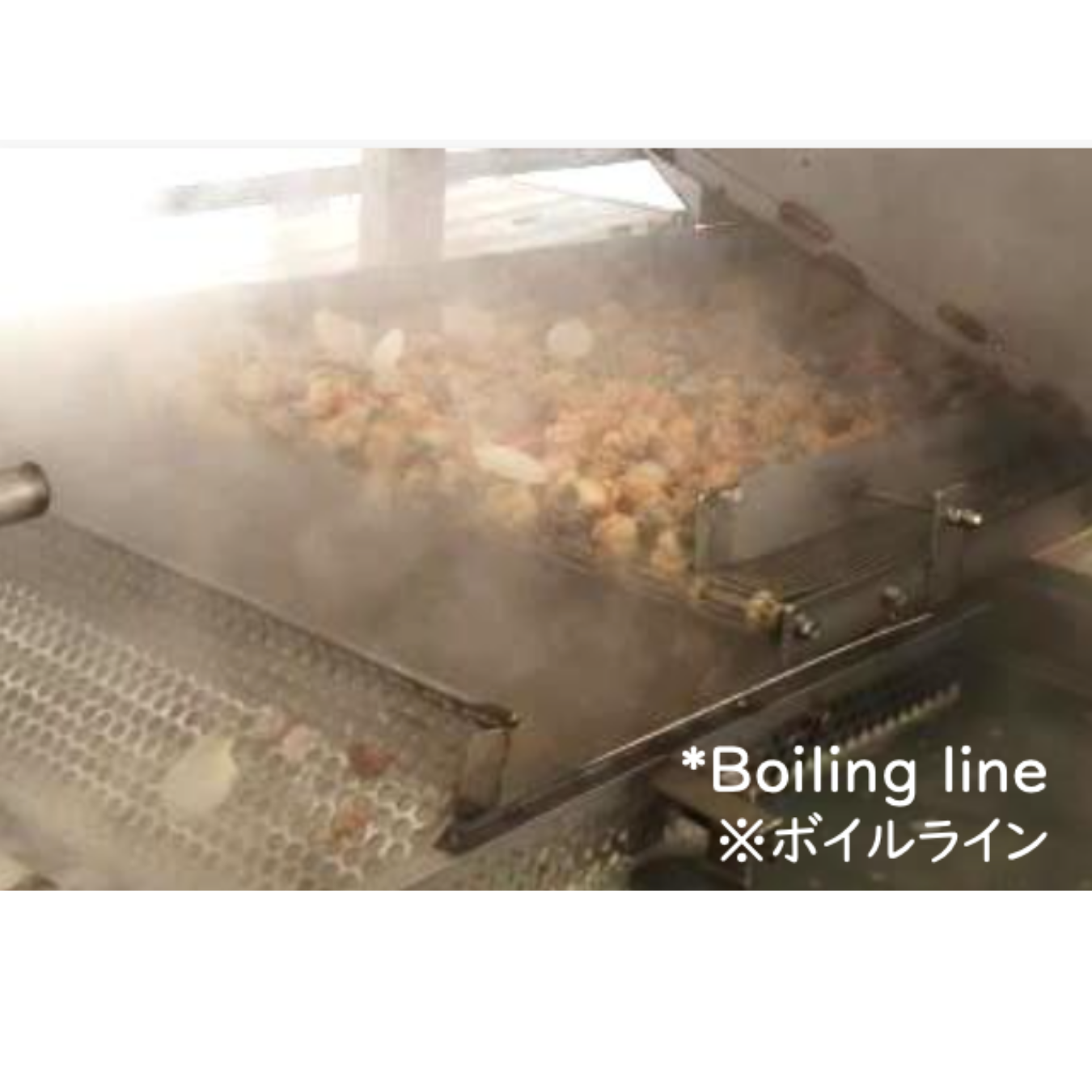 Boiled Scallops from Mutsu Bay, Aomori 10kg (1kg x 10pack)  - EU/US HACCP Certified Factory