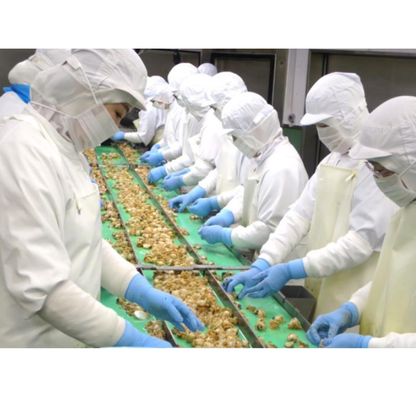 Boiled Scallops from Mutsu Bay, Aomori 10kg (1kg x 10pack)  - EU/US HACCP Certified Factory