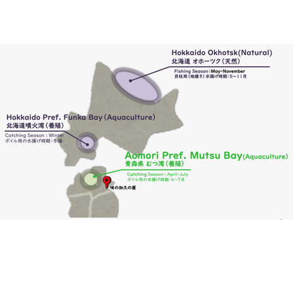 Boiled Scallops from Mutsu Bay, Aomori 10kg (1kg x 10pack)  - EU/US HACCP Certified Factory